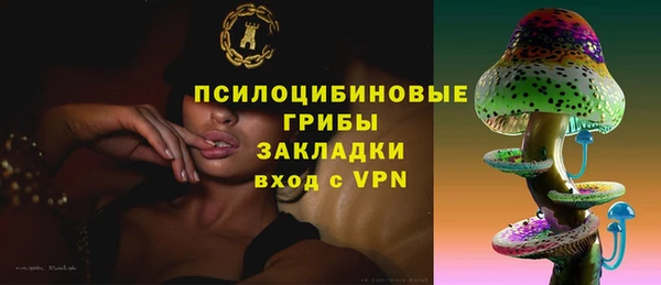 apvp Переславль-Залесский