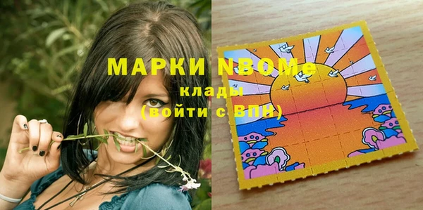 дмт Лабытнанги