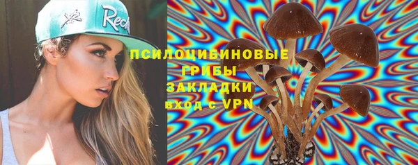 спиды Осташков
