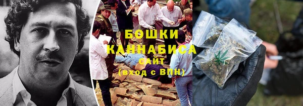 дмт Лабытнанги