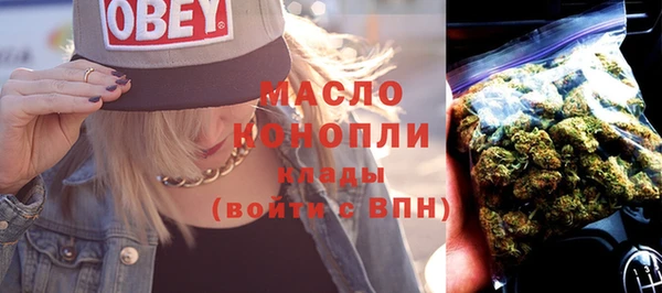 дмт Лабытнанги