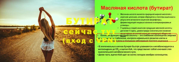гашик Пестово