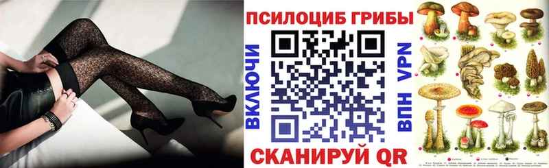 закладки Бологое Галлюциногенные грибы мухоморы