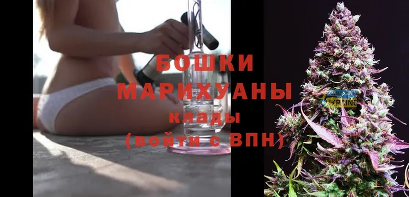 где купить наркотик  Бологое  Каннабис SATIVA & INDICA 